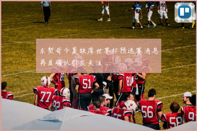 东契奇今夏缺席世界杯预选赛消息再度确认引发关注